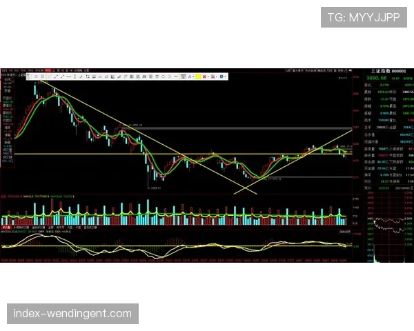 布雷斯特不盲目抢节奏通过站位紧凑切断对手通道的防守哲学